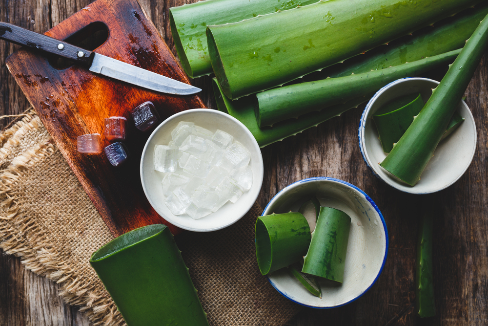 The Benefits of Aloe Vera for Your Hair