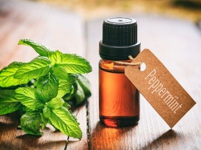 Peppermint oil in glass container with leaves beside it on wooden table