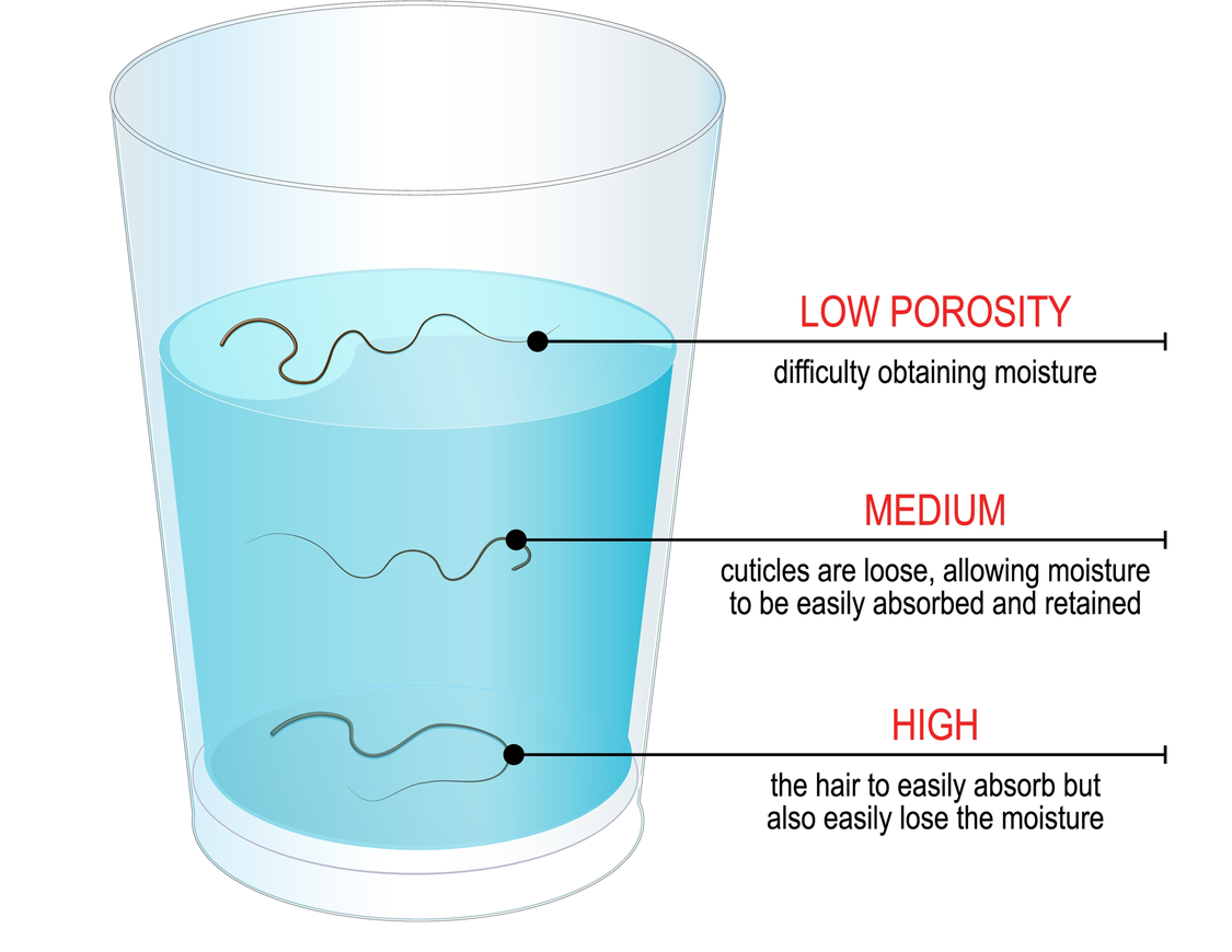 How to perform a hair porosity test graphic with a cup of water and strands of water